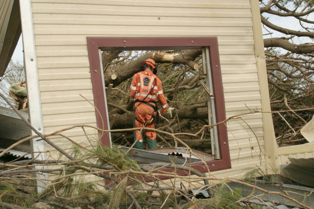 Best Fruit Tree Pruning  in Leonia, NJ